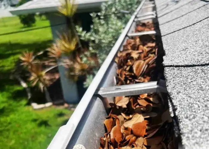 Wellford gutter cleaning home page